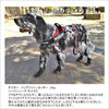 犬靴犬の靴ドッグシューズTLS3961着用例