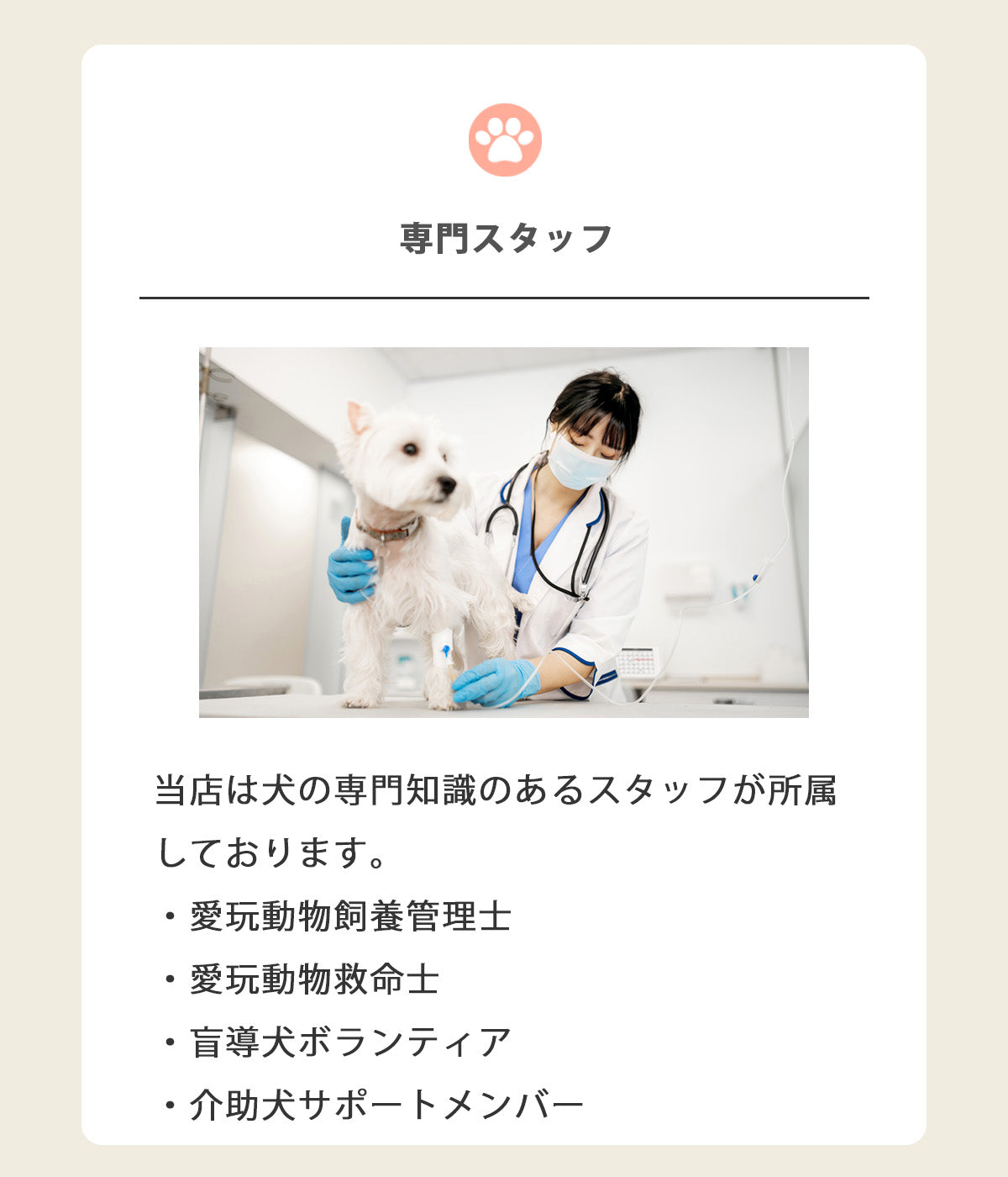 【TRUELOVE】(=^・^=)猫首輪かわいい花柄ソフトナイロンポリエステル軽量Truelove伸びない負担の少ない簡単にゃんチャームニャンベル猫用首輪TLC5312