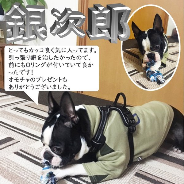 犬のハーネス犬用ハーネス胴輪反射ハンドル付裏地メッシュソフト大型犬中型犬小型犬超大型犬高品質簡単装着ハンドルハーネス衝撃吸収