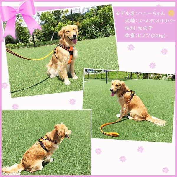 犬のハーネス犬用ハーネス胴輪反射ハンドル付裏地メッシュソフト大型犬中型犬小型犬超大型犬高品質簡単装着ハンドルハーネス衝撃吸収