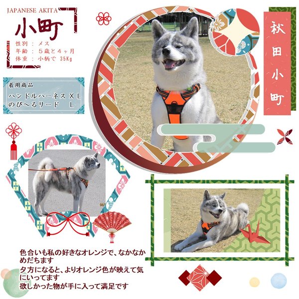 犬のハーネス犬用ハーネス胴輪反射ハンドル付裏地メッシュソフト大型犬中型犬小型犬超大型犬高品質簡単装着ハンドルハーネス衝撃吸収