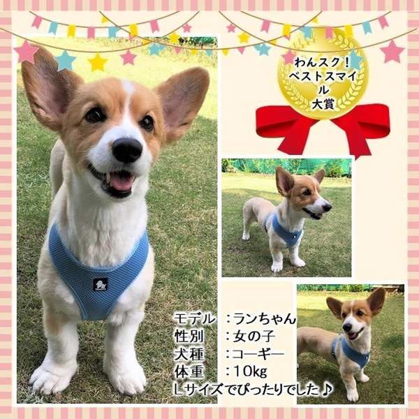 犬ハーネス犬用ハーネスメッシュ小型犬中型犬大型犬猫胴輪ソフトパッドメール便送料無料簡単装着快適メッシュハーネス