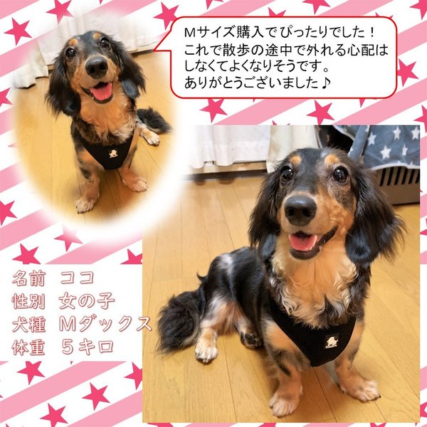 犬ハーネス犬用ハーネスメッシュ小型犬中型犬大型犬猫胴輪ソフトパッドメール便送料無料簡単装着快適メッシュハーネス