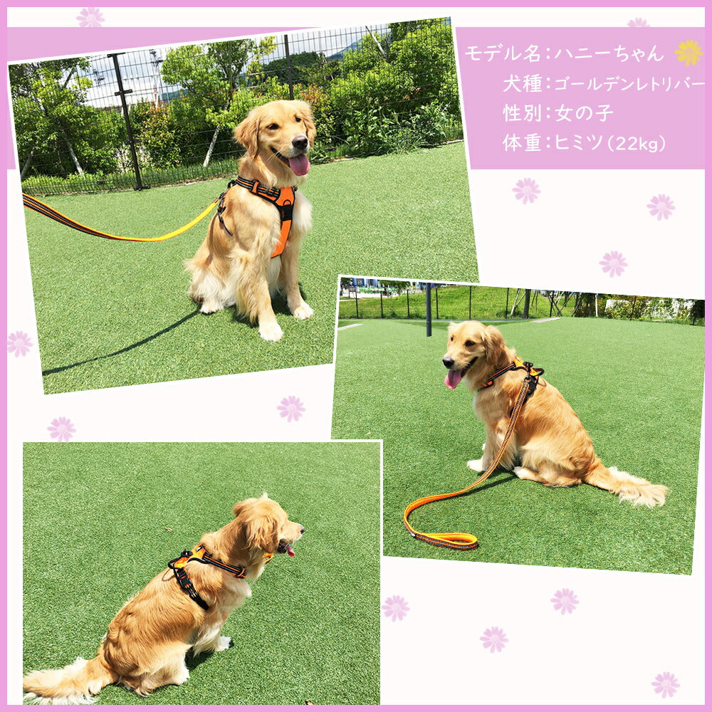 犬リード犬用リード中型犬大型犬持ちやすいソフトハンドルおしゃれ超大型犬小型犬スタンダードリードメール便送料無料
