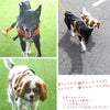 犬 リード 犬用 リード 中型犬 大型犬 持ちやすい ソフトハンドル おしゃれ 超大型犬 小型犬 スタンダードリード メール便送料無料 Truelove  TLL2111