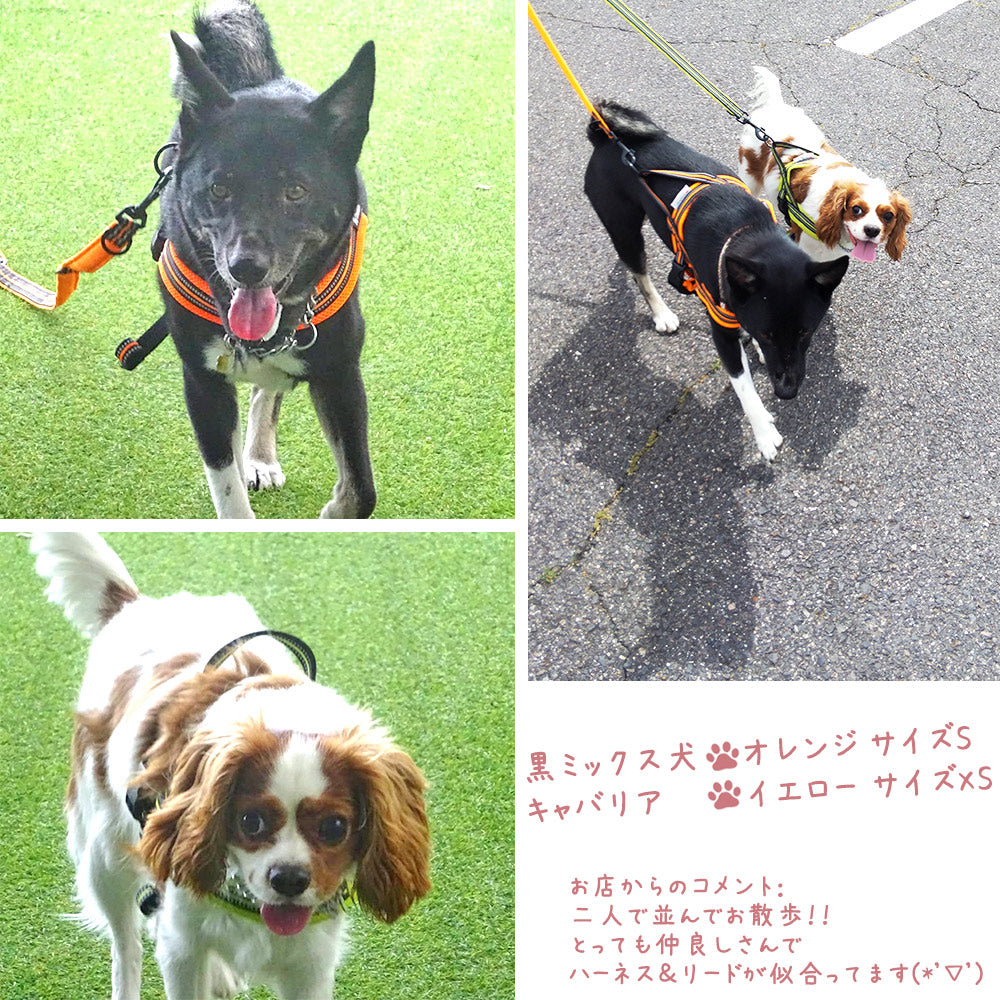 犬リード犬用リード中型犬大型犬持ちやすいソフトハンドルおしゃれ超大型犬小型犬スタンダードリードメール便送料無料