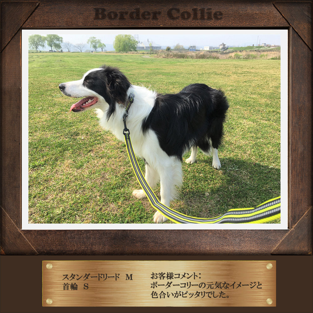 犬リード犬用リード中型犬大型犬持ちやすいソフトハンドルおしゃれ超大型犬小型犬スタンダードリードメール便送料無料
