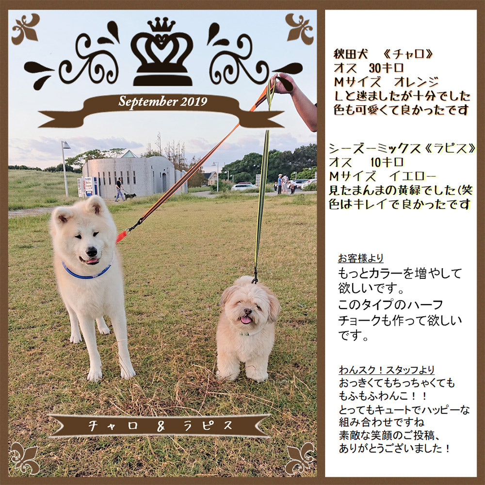犬用リード中型犬大型犬持ちやすいソフトハンドルおしゃれ超大型犬小型犬スタンダードリードメール便送料無料