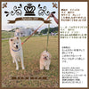 犬用リード中型犬大型犬持ちやすいソフトハンドルおしゃれ超大型犬小型犬スタンダードリードメール便送料無料