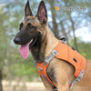 犬ハーネス中型/大型犬用Truelove簡単装着コーデュラ軽量メッシュパッドジッパー2WAYポケットバックパッカーハーネス