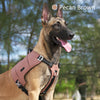 犬ハーネス中型/大型犬用Truelove簡単装着コーデュラ軽量メッシュパッドジッパー2WAYポケットバックパッカーハーネス