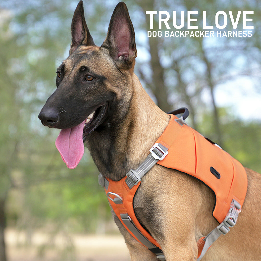 犬ハーネス中型/大型犬用Truelove簡単装着コーデュラ軽量メッシュパッドジッパー2WAYポケットバックパッカーハーネス