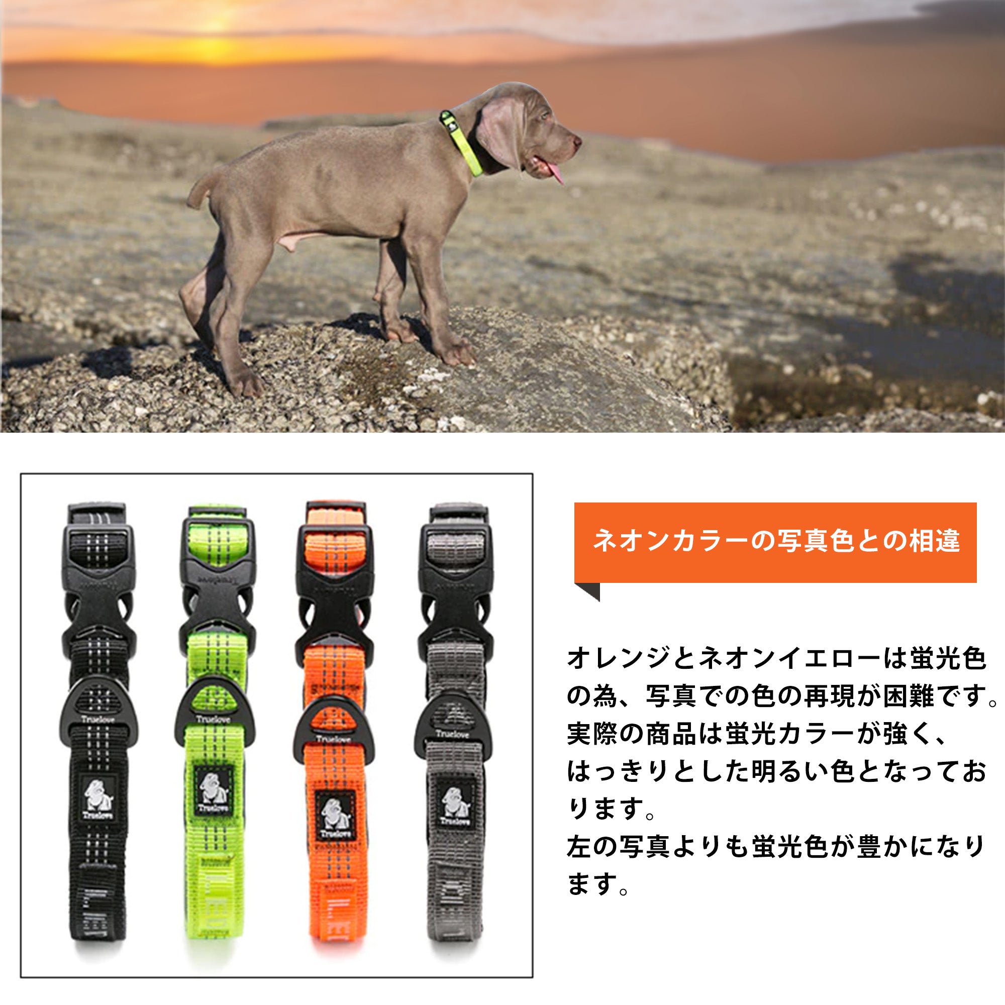 犬首輪ソフトネオプレンTrueloveブランド反射安全軽量小型犬中型犬大型犬痛くないソフトネオプレンカラー送料無料