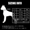 犬首輪軽いおしゃれ痛くない中型犬大型犬超大型犬小型犬ネオプレンソフトパッド丈夫ワイドアジャスター送料無料
