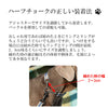 犬首輪ハーフチョークステンレスチェーンしつけ引っ張り匂い取り拾い食い歩行訓練バックル付き簡単装着中型犬大型犬やわらかいおしゃれ