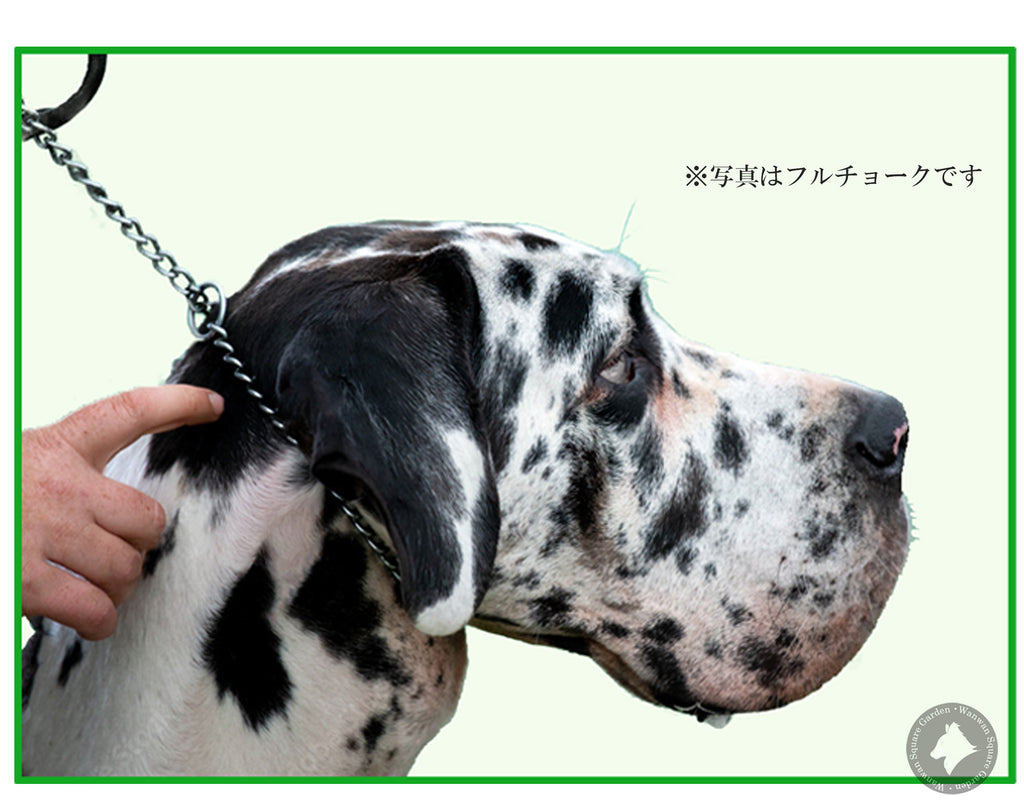 犬首輪ハーフチョーク丸ロープやわらかい中型犬大型犬ステンレスチェーンTrueloveブランドアウトドアキャンプお散歩しつけ引っ張り匂い取り拾い食い訓練犬用品ドッグアイテムナイロンハーフチョーク3M反射ロープチェーン