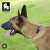 犬首輪ハーフチョーク丸ロープやわらかい中型犬大型犬ステンレスチェーンTrueloveブランドアウトドアキャンプお散歩しつけ引っ張り匂い取り拾い食い訓練犬用品ドッグアイテムナイロンハーフチョーク3M反射ロープチェーン