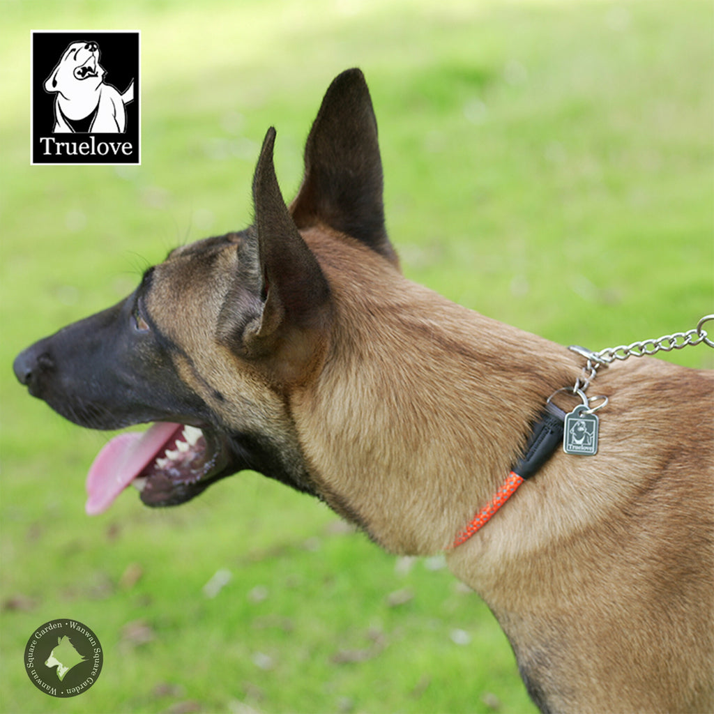 犬首輪ハーフチョーク丸ロープやわらかい中型犬大型犬ステンレスチェーンTrueloveブランドアウトドアキャンプお散歩しつけ引っ張り匂い取り拾い食い訓練犬用品ドッグアイテムナイロンハーフチョーク3M反射ロープチェーン