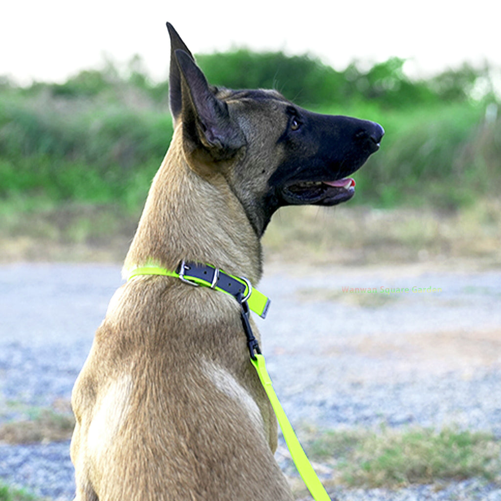 犬首輪小型/中型/大型犬用カラフル防水雨の日水遊び衛生的耐久力便利強化ATBC-PVCカラー