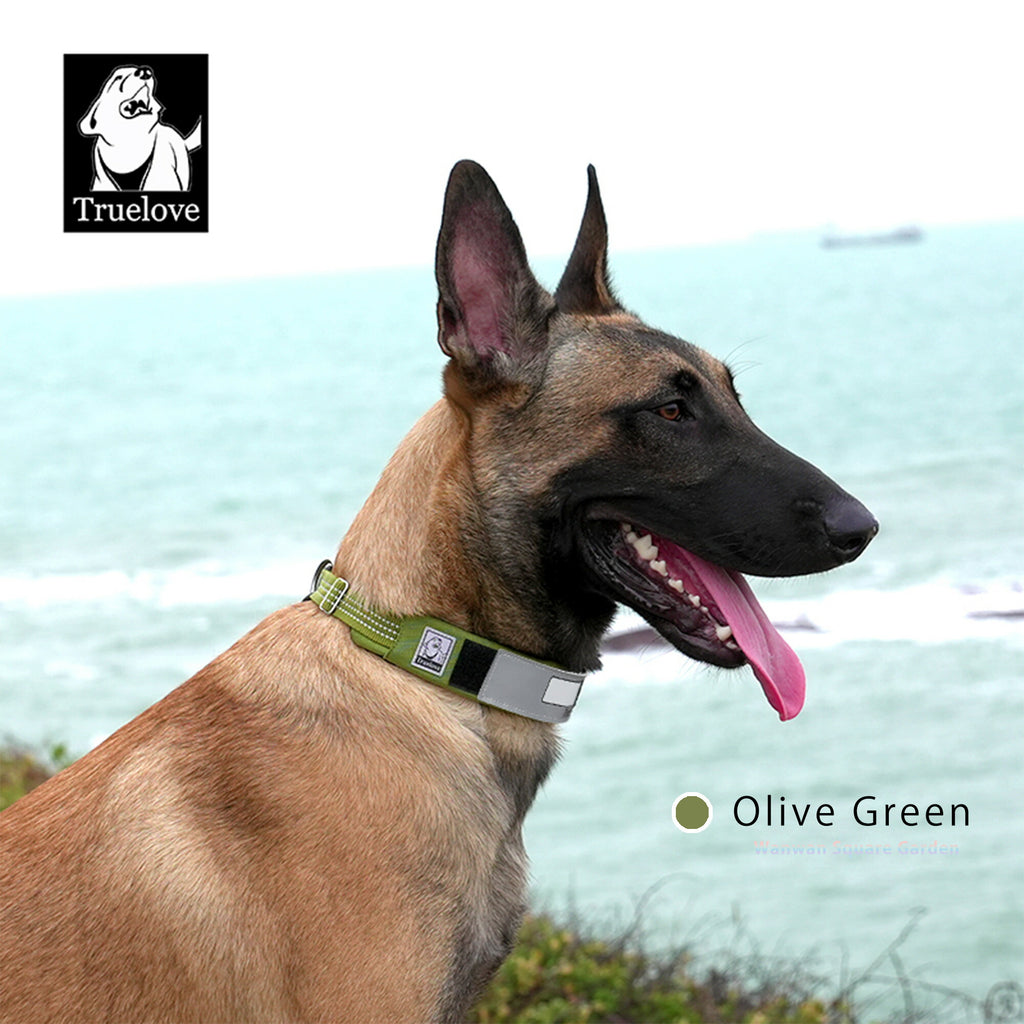 犬首輪小型/中型/大型犬用Truelove軽量45gデュポン社裏地メッシュ反射パッチ付替え可能チョークフリーカラー