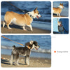 犬首輪小型/中型/大型犬用Truelove軽量45gデュポン社裏地メッシュ反射パッチ付替え可能チョークフリーカラー