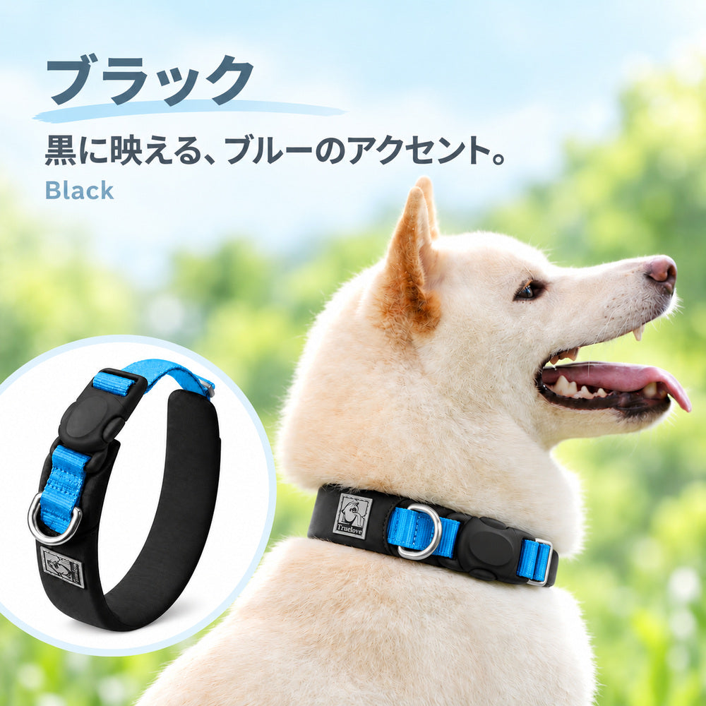 Truelove TLC5612 犬用首輪のブラック。黒いパッドに青いベルトを合わせた配色と犬の着用例