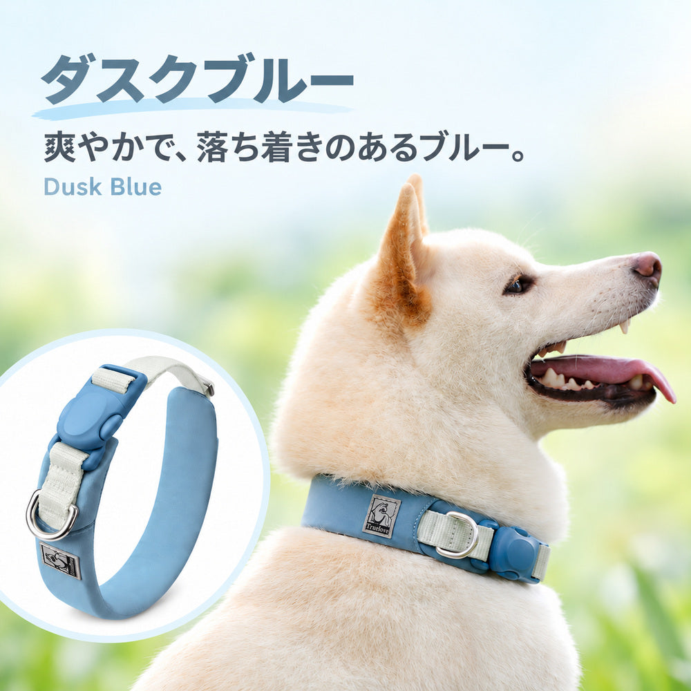 Truelove TLC5612 犬用首輪のダスクブルー。落ち着いたブルーの配色と犬の着用例