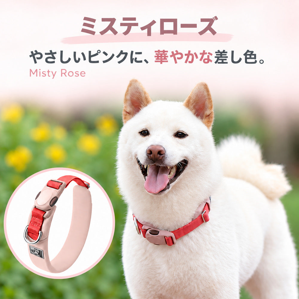 Truelove TLC5612 犬用首輪のミスティローズ。やさしいピンクに赤系ベルトを合わせた配色と犬の着用例
