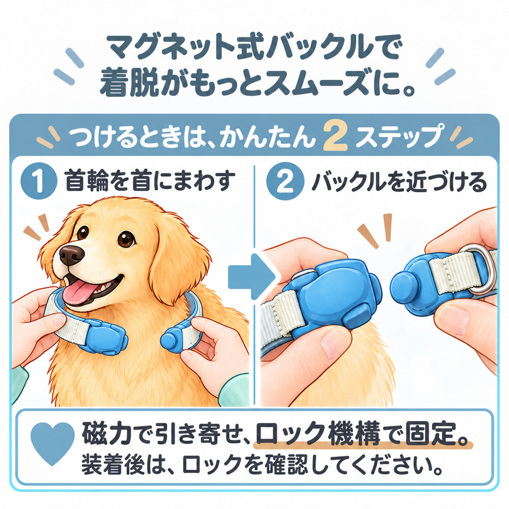 Truelove TLC5612 犬用首輪の着け方。首に回してバックルを近づけ、装着後にロックを確認
