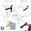 ペット用安全小型LEDライト防水IP65全灯Trueloveブランド7色発光夜の散歩安全対策シリコンストラップ取付ワイヤレス充電LEDレインボーライト