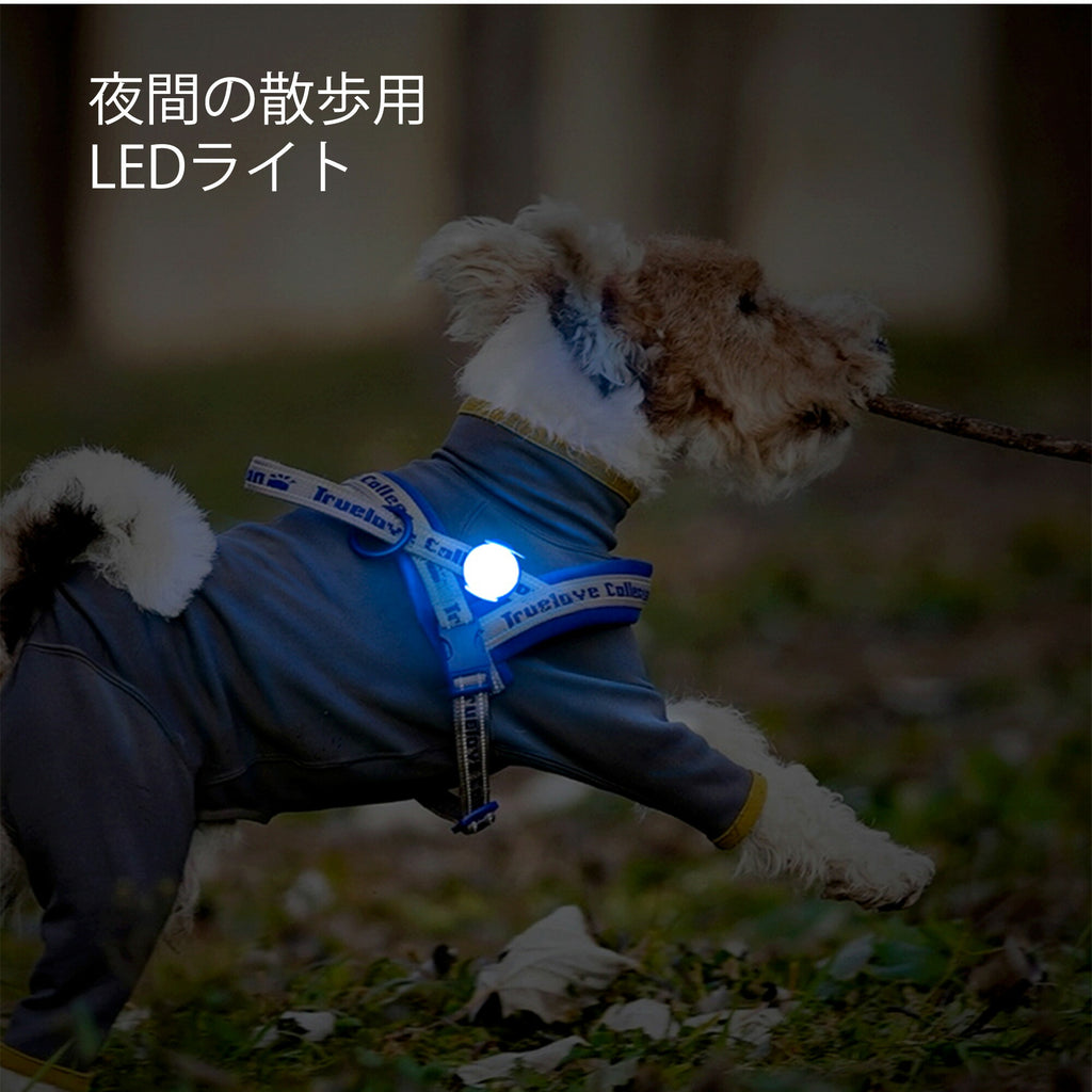 ペット用安全小型LEDライト防水点滅全灯Trueloveブランド単色発光夜の散歩安全安心ストラップ取付WATERPROOFIP65USB充電
