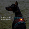 ペット用安全小型LEDライト防水点滅全灯Trueloveブランド単色発光夜の散歩安全安心ストラップ取付WATERPROOFIP65USB充電