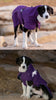 【Truelove公式ショップ】犬服ドッグウェア極暖あったかフードコートジャケット3色冬用断熱保温保湿Trueloveブランドアウトドア秋冬可愛いペット用品小型犬大型犬お散歩お出かけペットグッズ3Mシンサレートウォームドッグジャケット