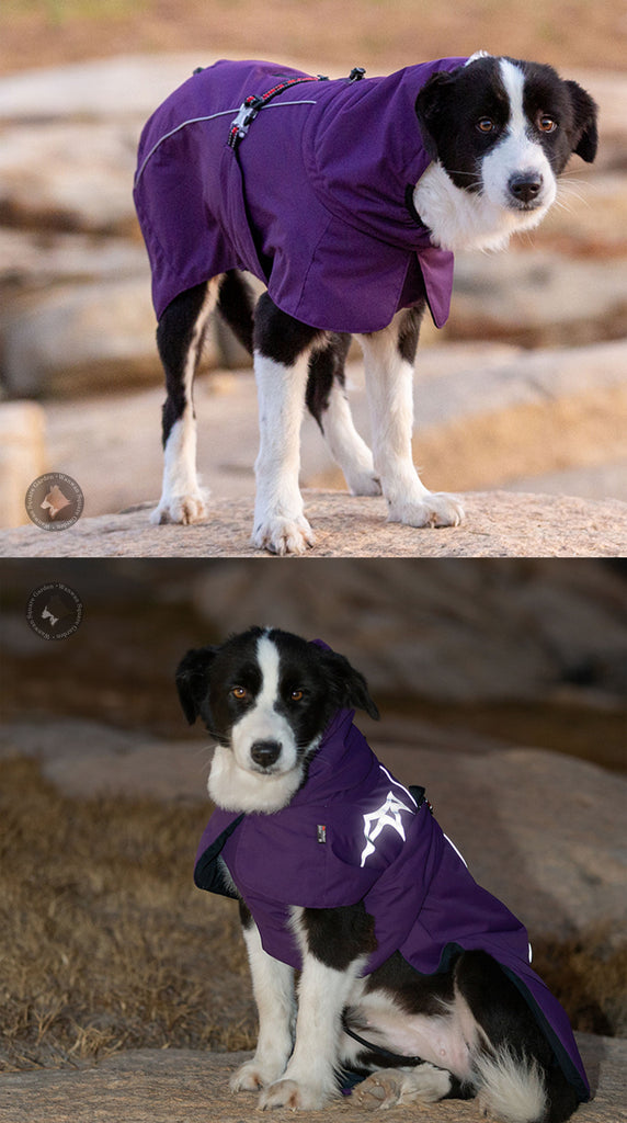 【Truelove公式ショップ】犬服ドッグウェア極暖あったかフードコートジャケット3色冬用断熱保温保湿Trueloveブランドアウトドア秋冬可愛いペット用品小型犬大型犬お散歩お出かけペットグッズ3Mシンサレートウォームドッグジャケット