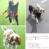 犬ハーネス犬用ハーネス胴輪ソフトパッド簡単装着快適スポーツハーネス送料無料