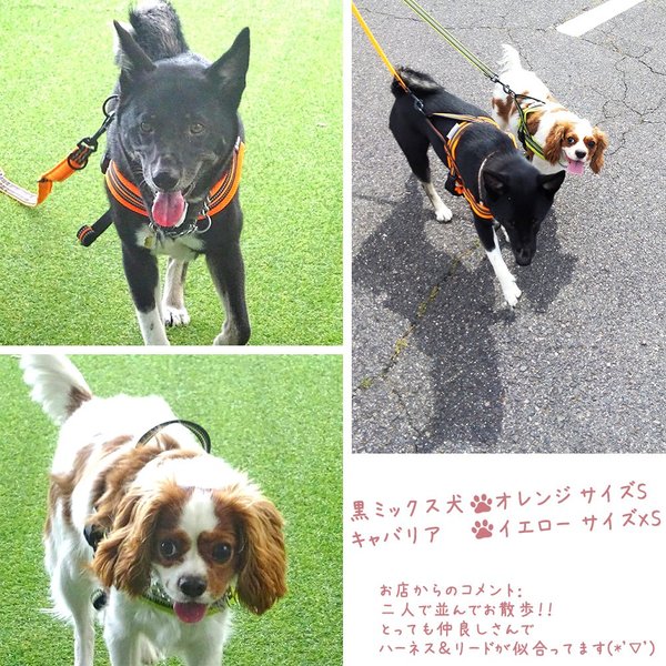 犬ハーネス犬用ハーネス胴輪ソフトパッド簡単装着快適スポーツハーネス送料無料