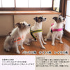 犬ハーネス犬用ハーネス胴輪ソフトパッド簡単装着快適スポーツハーネス送料無料