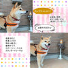 犬ハーネス犬用ハーネス胴輪ソフトパッド簡単装着快適スポーツハーネス送料無料