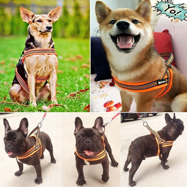 犬ハーネス犬用ハーネス胴輪ソフトパッド簡単装着快適スポーツハーネス送料無料