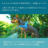 犬ハーネス犬用ハーネス胴輪ソフトパッド簡単装着快適スポーツハーネス送料無料