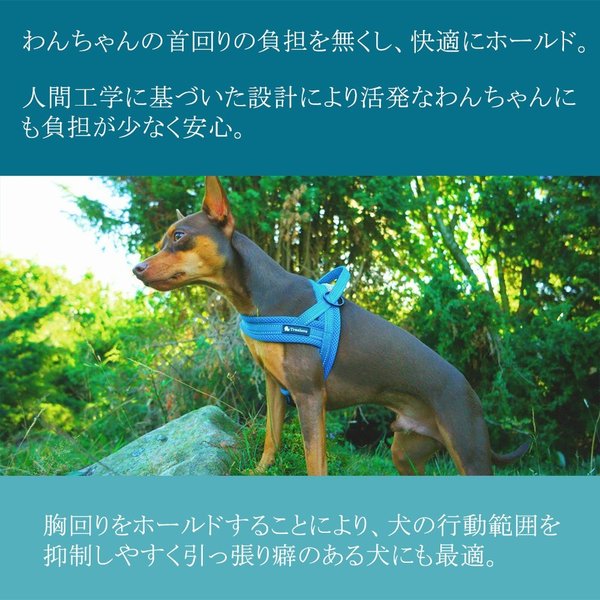 犬ハーネス犬用ハーネス胴輪ソフトパッド簡単装着快適スポーツハーネス送料無料