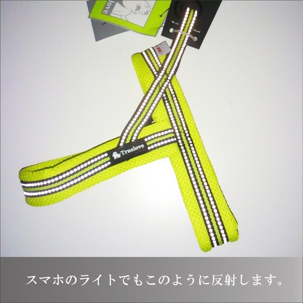 犬ハーネス犬用ハーネス胴輪ソフトパッド簡単装着快適スポーツハーネス送料無料