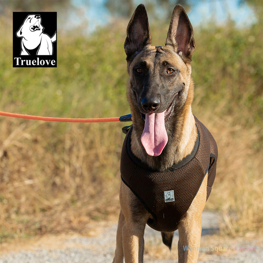 犬ハーネス安全ハーネスベスト車胴輪メッシュパッド衝撃軽減Trueloveブランドソフトパッド快適オールシーズンセーフティベストハーネス