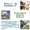 犬ハーネス安全ハーネスベスト車胴輪メッシュパッド衝撃軽減Trueloveブランドソフトパッド快適オールシーズンセーフティベストハーネス