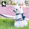 犬ハーネスリードセット小型犬中型犬用胴輪Trueloveブランドアウトドアやさしい手触りクッションソフトパッド簡単快適ハリスツイードハーネス