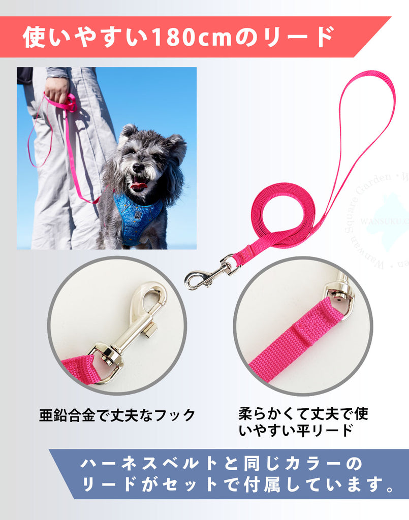 ハーネスリードセット