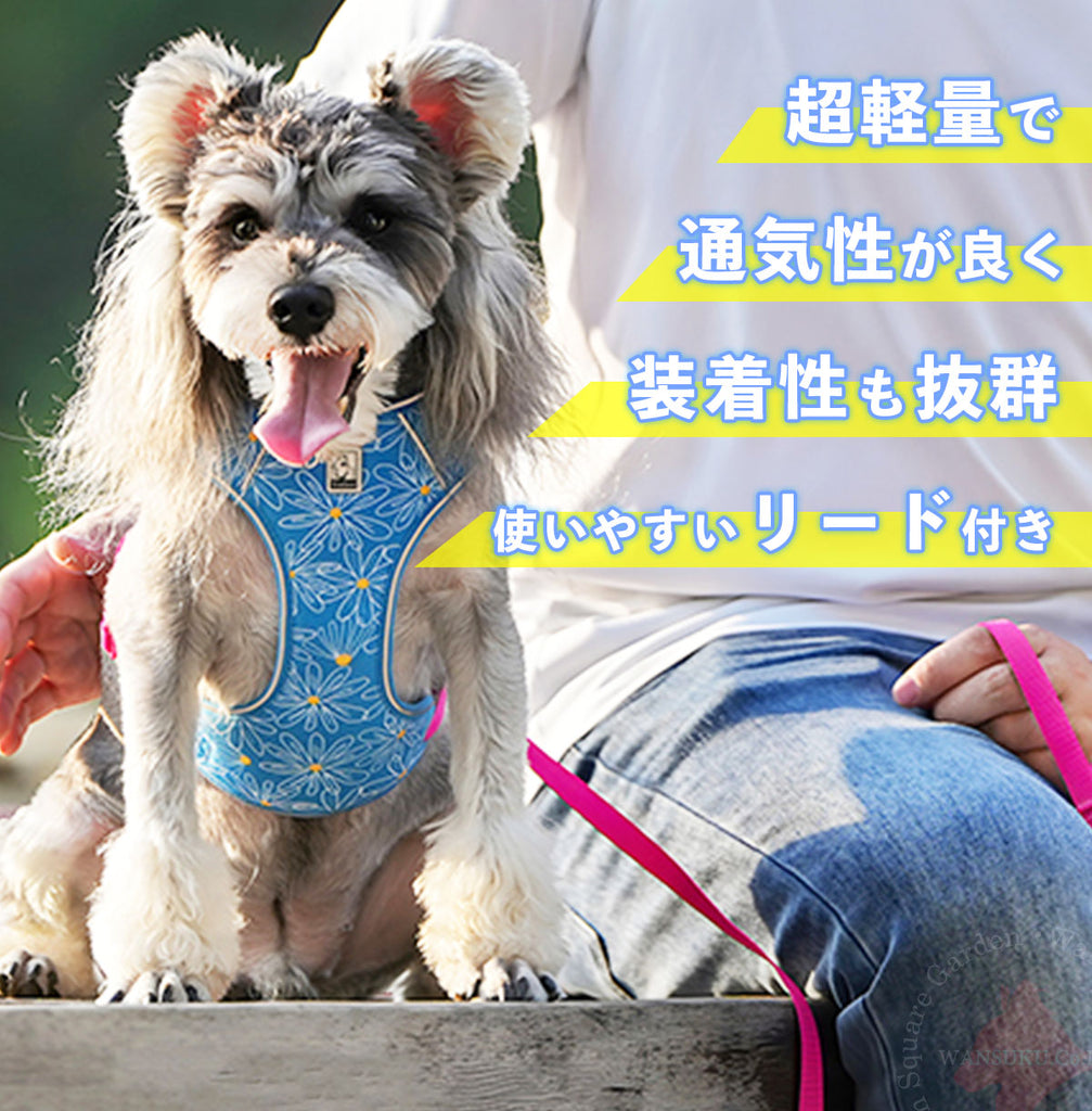 ハーネスリードセット