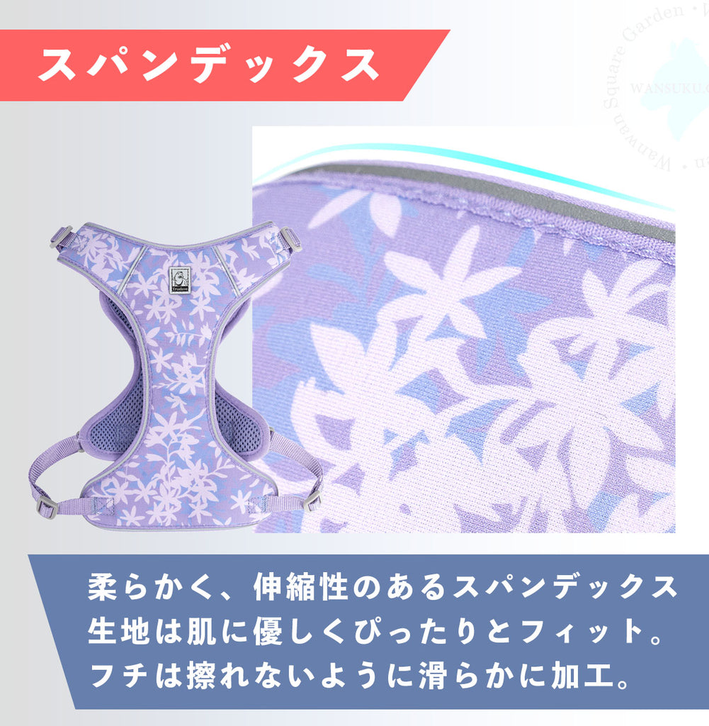 ハーネスリードセット