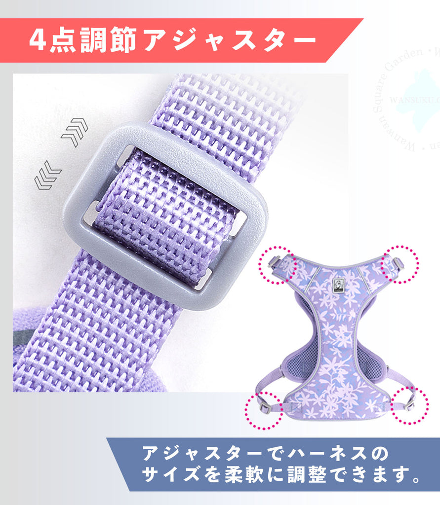 ハーネスリードセット