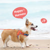 犬ハーネス軽い可愛い小型犬中型犬Trueloveブランド痛くないメッシュクッション立体構造ライト＆ソフトハーネスハッピーパターン
